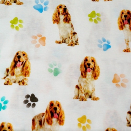 Reststück 5m - Baumwolljersey Cocker Spaniel Hund